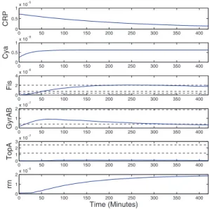 Fig. 2. Key global regulators and regulatory interactions taking place during the transition from stationary to exponential growth phase in E.coli