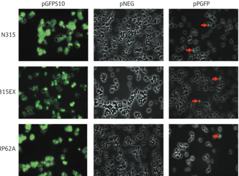 Figure 4 presents the details of these results. As a general