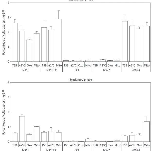 Table 1) into the N315 background and repeated the expression experiment. Figure 5 shows that transfer of COL-specific  pPGFP-COL-Tc into N315 or N315EX completely restored promoter