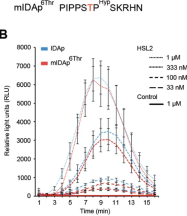 Fig. 5.  IDA peptide treatment. (A) Sequence of synthetic IDA peptides  used. (B) N. benthamiana leaf pieces expressing HSL2 were exposed to  various concentrations of peptides as indicated