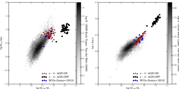 Figure 5. Left: stellar mass versus size. The size is the half-light radius for the simulated BCGs and the effective radius for the observational data
