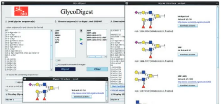 Fig. 1. Interface for the desktop version of GlycoDigest with examples of input/output glycan structures displayed in the essentials of Glycobiology/CFG format