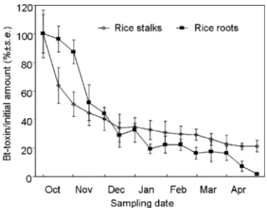 Fig. 4. Mean ( ⫾ SE) Cry1Ac protein concentration (ng/g dry weight) in transgenic rice leaf powder mixed in nonsterile water and sterile water.