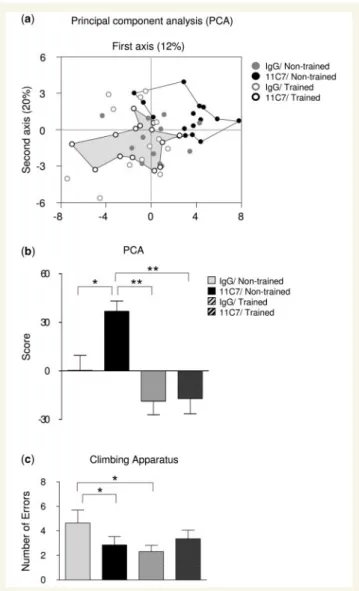 Figure 4 Analysis of detailed kinematics parameters. The degree of similarities and differences between groups is demonstrated by a multivariate statistical analysis applied on a large (n = 54) set of variables detailing gait performance.