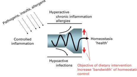 Fig. 7. Concept of how nutrients might act in an anti-inflammatory manner. By reinforcing the regulatory pathways controlling inflammatory responses, nutrition may contribute to the robustness of homeostatic control and may help to reduce the risk that acu