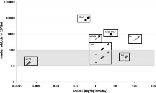Fig. 3. Levels of DNA adduct formation at the BMD 10 for liver tumour formation by the six model compounds as related to endogenous DNA adduct levels (10–100 adducts in 10 8 nt, grey shadow) in liver