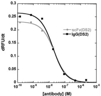 Fig. 4. Characterization of the inhibitory potential of the antibody DS2. The enzymatic activity of urokinase was measured in the presence of the antibodies scFv(DS2) and IgG(DS2) in varying concentrations