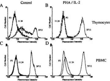 Fig. 3. Expression of CD44 isoforms on human thymocytes and PBMC Freshly isolated thymocytes (A), PHA/IL-2 activated thymocytes (B), PBMC (C) and PHA/IL-2 activated PBMC (D) were incubated with mAb 5F12 or 11.24