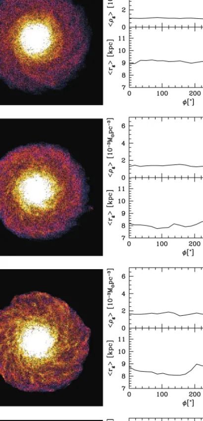 Figure 7 illustrates the state of the newly formed stellar disk at increasing times along the satellite orbit: