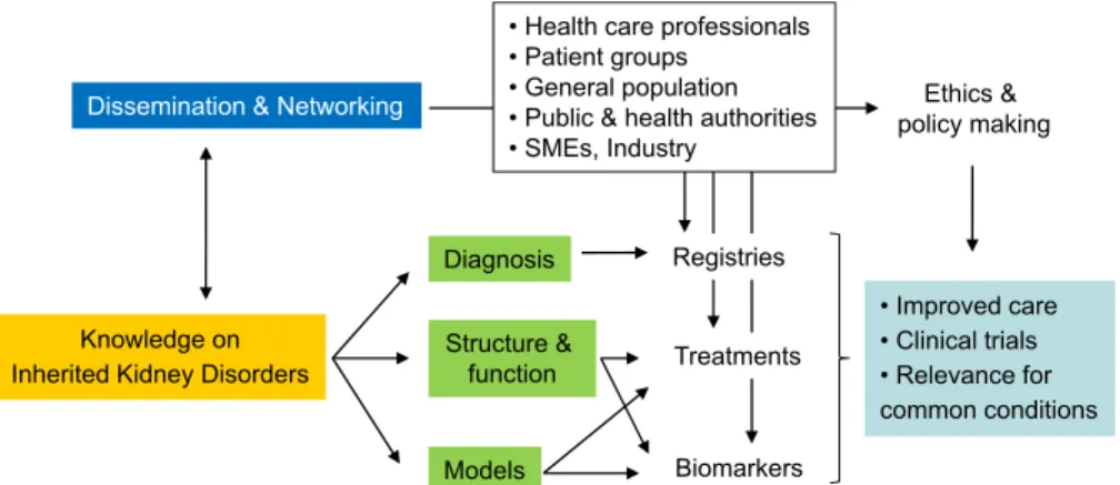 Fig. 1. Pathways of translating knowledge on inherited kidney disorders to clinical applications.