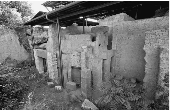 Fig. 1. Area of sanctuary of Apollo, E courtyard of so-called House of Augustus, showing the ruins that are the  subject of this note (view from northeast, 2013) (E