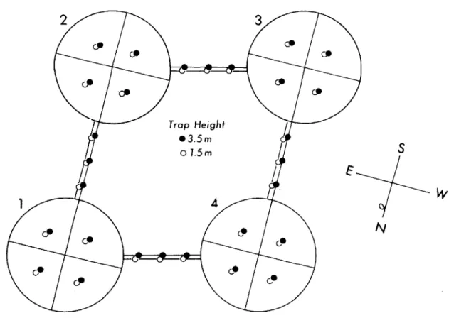 FIG. 2. Placement of aerial plate traps between trees in the study plot.