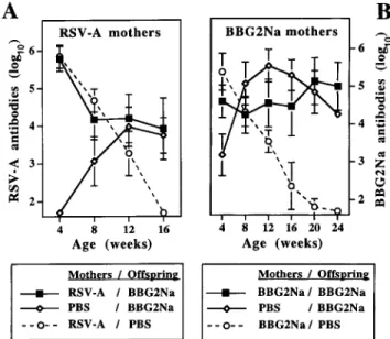 Figure 4. Influence of maternal antibodies on immune responses to BBG2Na. Pups born to RSV-A– or BBG2Na-immunized mothers (A and B, respectively) were immunized intramuscularly at age 1 week with AlPO 4 -BBG2Na and boosted 4 weeks later; controls received 