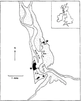 Figure 1. The Exe Estuary and its major substrate types. Numbered stars indicate cockle beds which were analysed for infection with Meiogymnophallus minutus