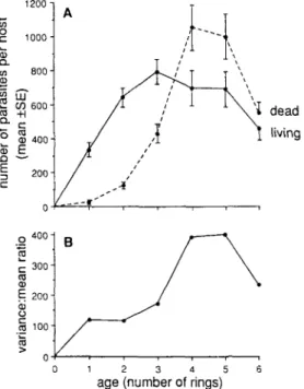 Figure 3. Changes in the occurrence and mortality of Meiogymnophallus minutus with age in cockles collected from Bed 5: (A) changes in mean abundance of living and dead metacercariae; (B) changes in the degree of overdispersion of living metacercariae.