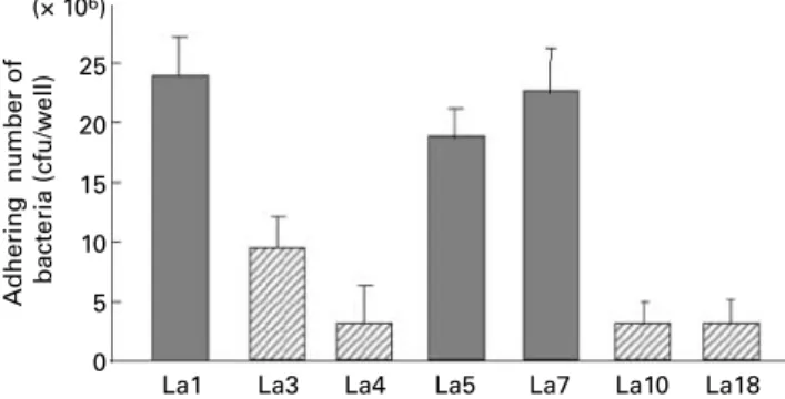 Fig. 2 shows the adhesion ability of L. johnsonii La1, L. acid- acid-ophilus La3, La4, La5, La7, La10 and La18 onto Caco-2 cells.