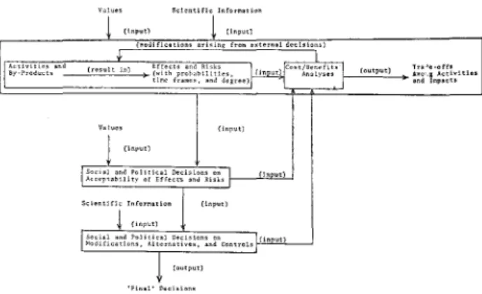 FIG. 1. Relationships among steps in environmental impact analysis and social and political decision-making processes.