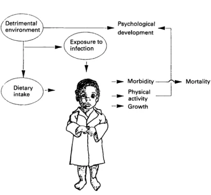 Fig. 8. Environmental  effects  on  the child. (From ACC/SCN,  1990.) 