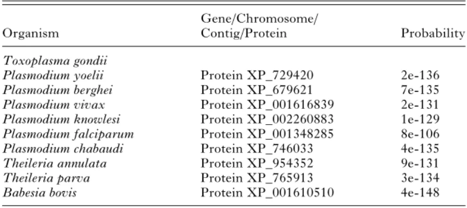 Table 2. PREX homologous genes in other apicomplexa