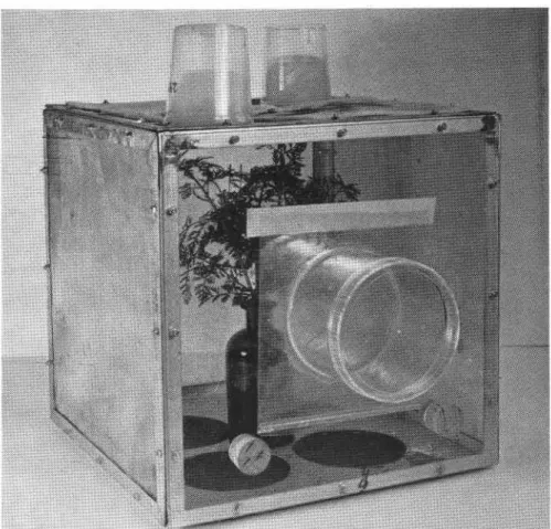 FIG. 1.  Rearing  cage  for  the  flies  of  P.  rosae.  On  the  ceiling:  two  yoghurt  beakers  with  water-agar  providing  the  flies with  water  and  two  foam  rubber  strips coated  with  a  mixture  of  cane  sugar  and enzymatic  yeast  hydrolys