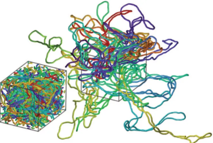 Figure 2. Examples of simulated momentary configurations of non- non-supercoiled (left) and non-supercoiled DNA molecules (right) together with their characteristic ellipsoids of inertia
