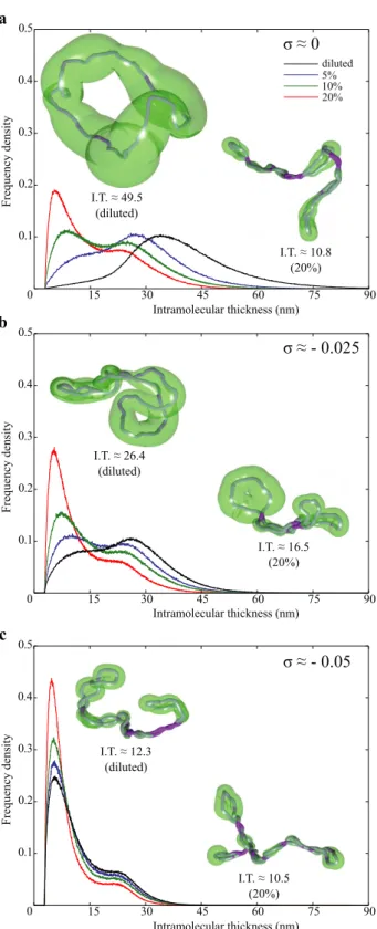 Figure 5. Physiological crowding of DNA molecules decreases their local intra-molecular thickness