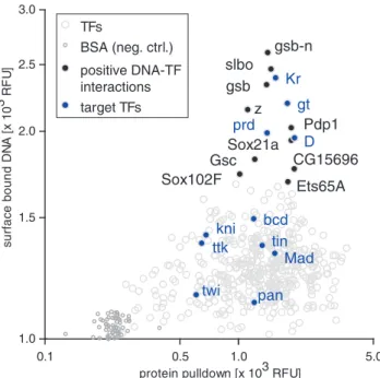 Figure 3. On-chip protein expression. (A) Expression levels (normalized to the number of lysine residues per protein) as a function of protein size of all 454 TF for six experiments (error bars: