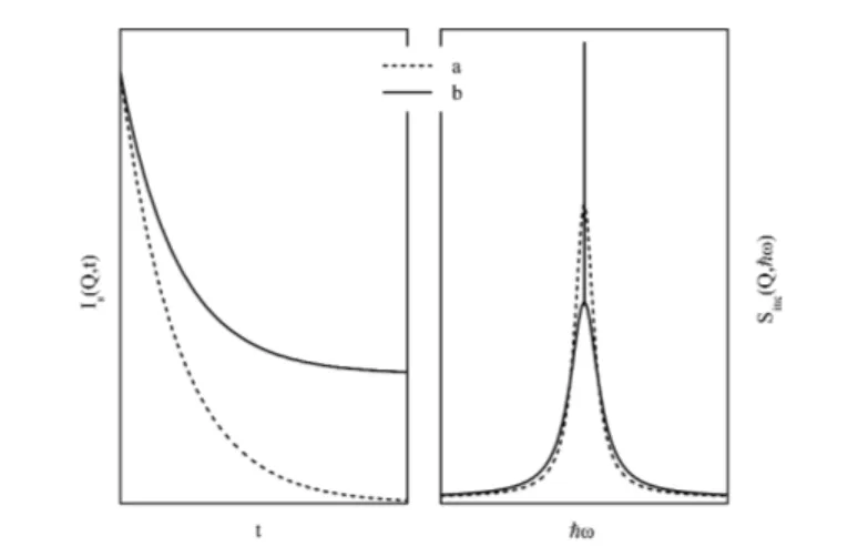 Fig. 1. Self-part of the intermediate scattering function (left) and incoherent scattering function (right) for long-range diffusion (a, dashed line) and for a localized dynamical process (b, solid line).