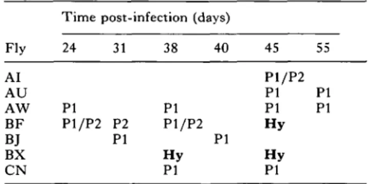 Table 1. Isolated and characterized (isoenzyme analysis for ICD) bloodstream-form populations from mixed infected Glossina morsitans centralis at different days after fly infection