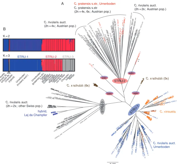 Fig. 2. Asterisks highlight three individuals of C. pratensis from Urnerboden showing genetic admixture between the STRU-1 and STRU-2 clusters.