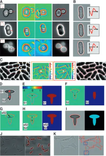 Figure 2E (and for the other examples of Fig. 1 in Fig. 2F). Additional full image segmentations are shown in Supplementary Figures S3–S10.