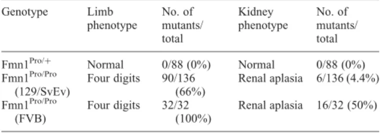 Table 1. Genetic background of mice contributes to the phenotypic penetrance of the Fmn1 Pro/Pro allele