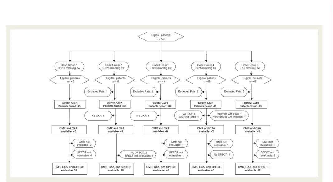 Figure 2 Flow chart demonstrating number of eligible patients and reasons for drop-out per dose group