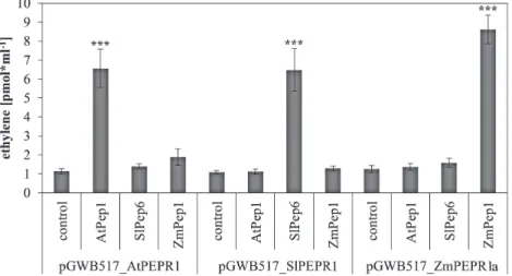 Fig. 5.  Detection of Peps by transiently expressed PEPRs. N. benthamiana plants were transiently transformed with Agrobacteria containing pGWB517  plasmids harbouring the coding sequences of either AtPEPR1, SlPEPR1, or ZmPEPR1a (as indicated)