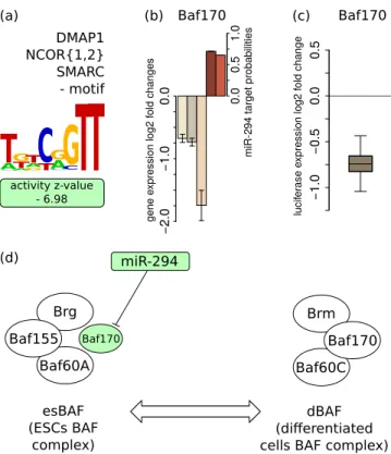 Figure 6. The BAF170 (Smarcc2) component of the dBAF chromatin re- re-modeling complex is a direct target of miR-294––(a) MARA analysis  re-veals a negative activity change of the ‘DMAP1 NCOR { 1,2 } SMARC’