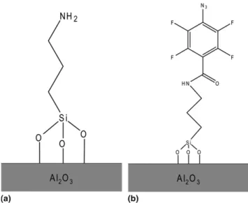 FIG. 1. Supposed surface modification of the alumina platelets with (a) APS and (b) PFPA.