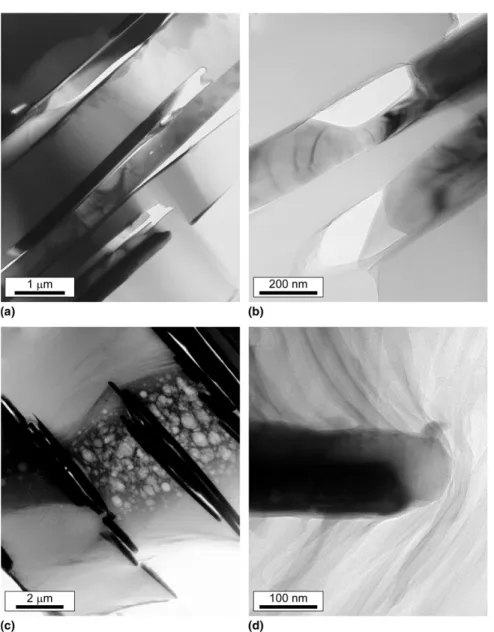FIG. 7. TEMs of composites with volume fractions of alumina platelets of  0.1 after mechanical testing and composite failure