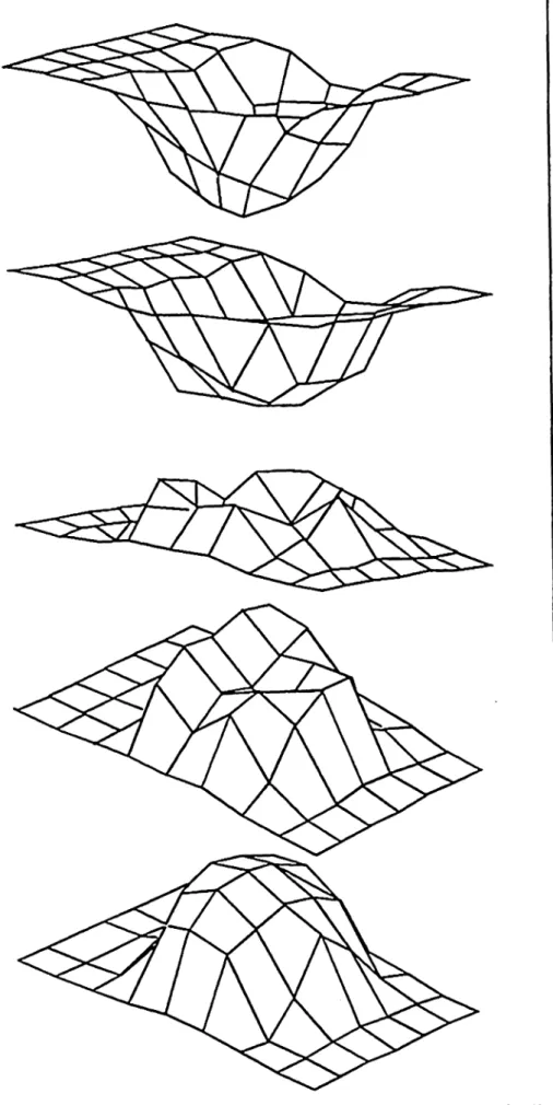 Fig. 5 zeigt eine Sequenz solcher Strömungsfelder, gemessen am Flussmodell.