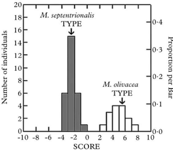 Table 3 briefly summarises the characters used to differentiate the two species.