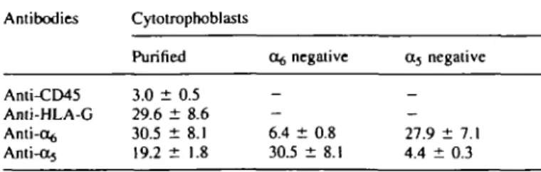 Table I. Immunohistochemical study on cell separation (percentage of positive cells, mean ± SEM, n = 3)