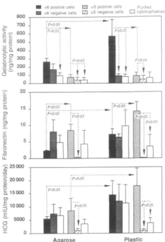 Figure 5. Zymogram of 2 day culture supernatants from