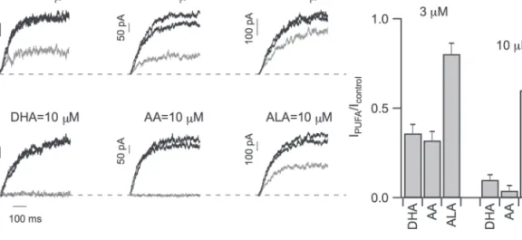 Figure 5C shows the time-course of the stationary current  recorded at +80 mV upon application and removal of ALA and  OA at 30 µM; maximal and minimal currents obtained,  respec-tively, in the absence and in the presence of PUFAs were set to 1  and 0, res