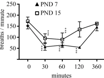 FIG. 1.  Effect of morphine administration on respiratory frequency. 