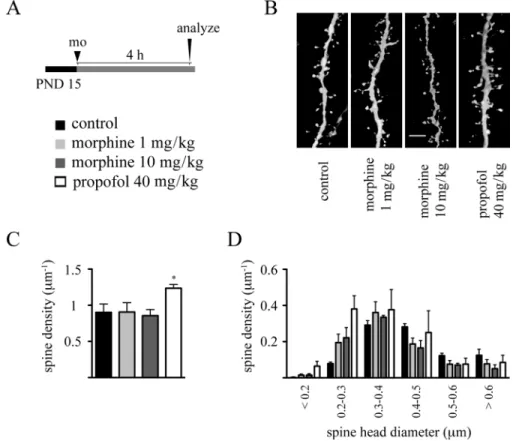 FIG. 6.  single-dose morphine administration on PND 15 does not affect dendritic spine density and morphology