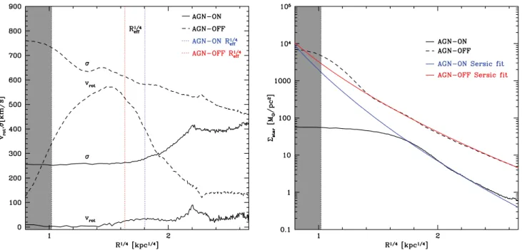 Figure 7. Left-hand panel: stellar velocity dispersion and rotational velocity of the BCG in our two models