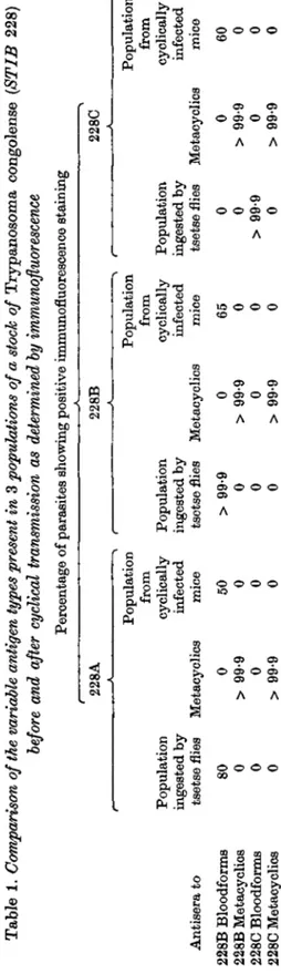 Table 1. Comparison of the variable antigen types present in 3 populations of a stock of Trypanosoma congolense (STIB 228) before and after cyclical transmission as determined by immunofluorescence Percentage of parasites showing positive immunofluorescenc