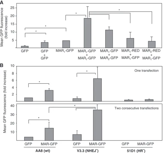 Figure 5. The MAR, plasmid homology and homologous recombination mediate high transgene expression