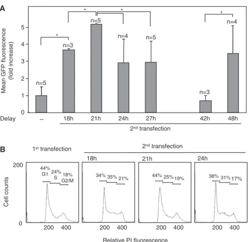 Figure 2. Determination of the optimal timing between successive transfections. (A) Stable polyclonal populations were generated by a single transfection (minus symbol) or by two consecutive transfections of the MAR-GFP expression plasmid with the indicate