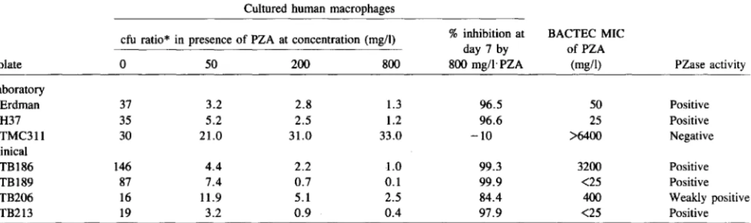 Table 1. Growth kinetics of tested Mycobacterium tuberculosis isolates in cultured human macrophages with and without pyrazinamide (PZA) compared with BACTEC minimum inhibitory concentrations (MICs) and pyrazinamidase (PZase) activity.