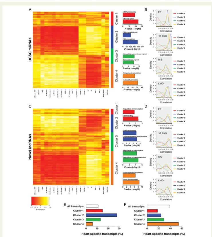 Figure 3 Physiological clustering of the cardiac transcriptome. The cardiac transcriptome is highly correlated with cardiac physiological traits